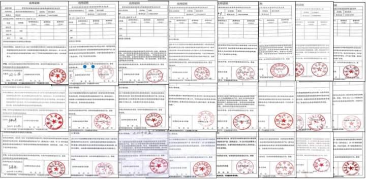 新型病毒变异研究最新进展及其影响概述