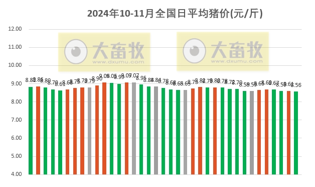 小猪价格最新动态分析，今日市场走势解析